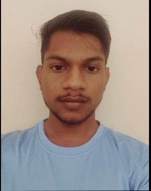 Viralkumar Dineshbhai Chaudhari 